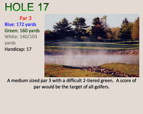 hole17